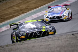 #44 Mercedes-AMG Team Strakka Racing GBR Mercedes-AMG GT3 Gary Paffett GBR Tristan Vautier FRA Lewis Williamson GBR GT3 Overall, Wednesday Sessions
 | SRO / Dirk Bogaerts Photography