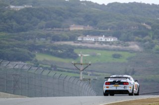 #41 PF Racing USA Ford Mustang GT4 Jade Buford USA Chad McCumbee USA James Pesek USA GT4, Wednesday Sessions
 | SRO / Dirk Bogaerts Photography
