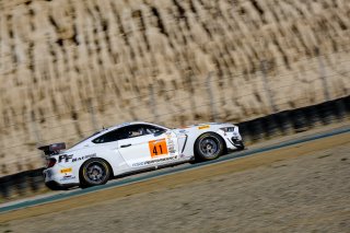 #41 PF Racing USA Ford Mustang GT4 Jade Buford USA Chad McCumbee USA James Pesek USA GT4, Thursday Sessions
 | SRO / Dirk Bogaerts Photography