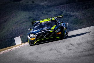 #44 Mercedes-AMG Team Strakka Racing GBR Mercedes-AMG GT3 Gary Paffett GBR Tristan Vautier FRA Lewis Williamson GBR GT3 Overall, Thursday Sessions
 | SRO / Dirk Bogaerts Photography