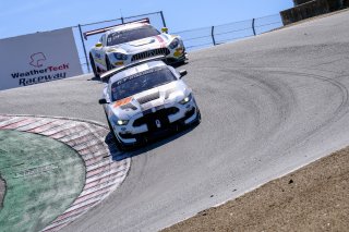 #41 PF Racing USA Ford Mustang GT4 Jade Buford USA Chad McCumbee USA James Pesek USA GT4, Race
 | SRO / Dirk Bogaerts Photography