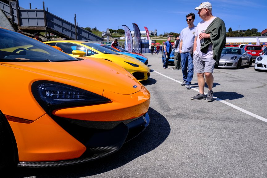 Paddock
