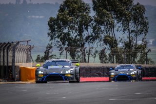 Paid Test Session 2
 | SRO / Dirk Bogaerts Photography