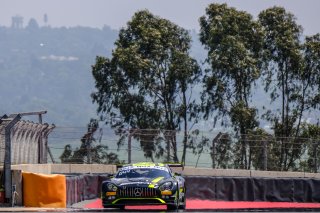Paid Test Session 2
 | SRO / Dirk Bogaerts Photography