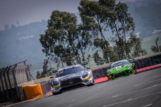 Paid Test Session 2
 | SRO / Dirk Bogaerts Photography