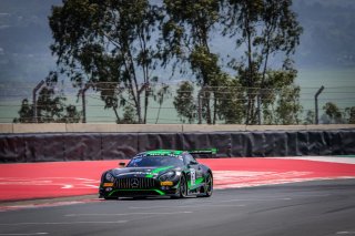 Paid Test Session 2
 | SRO / Dirk Bogaerts Photography