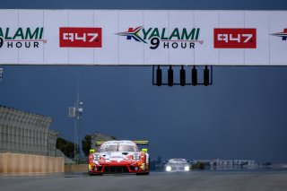 #31 Frikadelli Racing Team**** DEU Porsche 911 GT3 R Dennis Olsen NOR Mathieu Jaminet FRA Nick Tandy GBR Overall, Qualifying
 | SRO / Dirk Bogaerts Photography