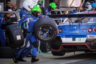 Pitlane, Race
 | SRO / Dirk Bogaerts Photography