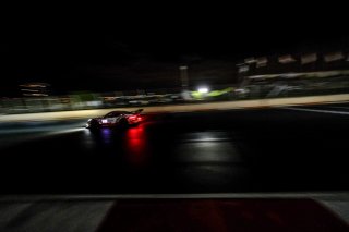 #31 Frikadelli Racing Team**** DEU Porsche 911 GT3 R Dennis Olsen NOR Mathieu Jaminet FRA Nick Tandy GBR Overall, Finish, Race
 | SRO / Dirk Bogaerts Photography