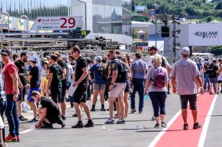 Pitwalk
 | SRO / Dirk Bogaerts Photography