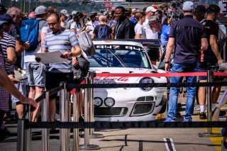 Pitwalk
 | SRO / Dirk Bogaerts Photography