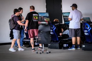 Pitwalk
 | SRO / Dirk Bogaerts Photography