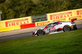 #29 Team Honda Racing ITA- Dane Cameron USA Renger  van der Zande NDL Mario Farnbacher DEU IGTC, Free Practice 1
 | SRO / Kevin Pecks-1VIER