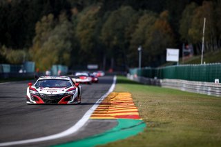 #29 Team Honda Racing ITA- Dane Cameron USA Renger  van der Zande NDL Mario Farnbacher DEU IGTC, Pre-Qualifying
 | SRO Motorsports Group