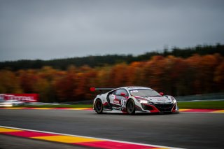 #29 Team Honda Racing ITA- Dane Cameron USA Renger  van der Zande NDL Mario Farnbacher DEU IGTC, Race
 | SRO / Jules Benichou - 21creation