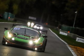 #488 Rinaldi Racing DEU Pierre Ehret DEU Daniel Keilwitz DEU Rino Mastronardi ITA David Perel ZAF IGTC, Race
 | SRO / Patrick Hecq Photography