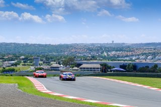 Paid Test Session 1
 | SRO / Dirk Bogaerts Photography