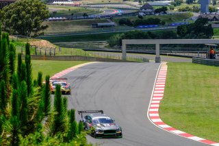 Paid Test Session 1
 | SRO / Dirk Bogaerts Photography