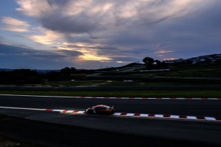 #44 Audi Sport Team Car Collection DEU Audi R8 LMS GT3 Overall Mattia Drudi ITA Patric Niederhauser DEU Christopher Haase DEU, Free Practice Night Session
 | SRO / Dirk Bogaerts Photography