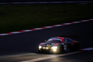 #44 Audi Sport Team Car Collection DEU Audi R8 LMS GT3 Overall Mattia Drudi ITA Patric Niederhauser DEU Christopher Haase DEU, Free Practice Night Session
 | SRO / Dirk Bogaerts Photography