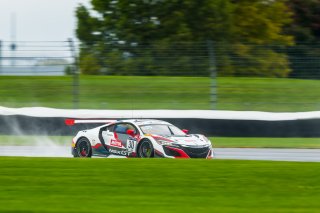 #30 Acura-Honda NSX GT3 Evo of Mario Farnbacher, Dane Cameron, and Renger van der Zande, Team Honda Racing, GT3 Overall, SRO, Indianapolis Motor Speedway, Indianapolis, IN, September 2020. | Fabian Lagunas/SRO