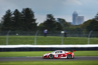 GT3 Silver Cup\, IN, Indianapolis, Indianapolis Motor Speedway, Intercontinental GT Challenge, Jacob Abel and Dakota Dickerson, October 2021#93 Acura - Honda NSX GT3 Evo of Taylor Hagler, Racers Edge Motorsports, SRO, USA
 | Fabian Lagunas/SRO