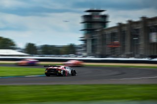 IN, Indianapolis, Indianapolis Motor Speedway, October 2021#91 \cf0 \kerning1\expnd0\expndtw0 Lamborghini Huracan \cf2 \expnd0\expndtw0\kerning0, SRO, USA
 | Fabian Lagunas/SRO