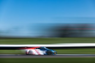 Audi Sport Team Sainteloc, GT3 Overall\, IN, Indianapolis, Indianapolis Motor Speedway, Intercontinental GT Challenge, Markus Winkelhock and Patric Niederhauser, October 2021#25 Audi R8 LMS GT3 of Christopher Haase, SRO, USA
 | Fabian Lagunas/SRO