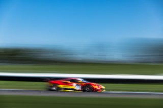 AF Corse - Francorchamps Motors, Antonio Fuoco and Callum Ilott, GT3 Overall\, IN, Indianapolis, Indianapolis Motor Speedway, Intercontinental GT Challenge, October 2021#71 Ferrari 488 GT3 of Alessio Rovera, SRO, USA
 | Fabian Lagunas/SRO