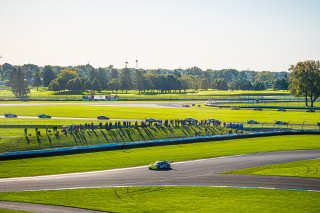 #16 Porsche GT3-R (991.ii) of Adrian D\'92Silva, Jeff Kingsley and Nicholas Boulle, EBM Giga Racing, Intercontinental GT Challenge, GT3 Pro-Am\SRO, Indianapolis Motor Speedway, Indianapolis, IN, USA, October 2021
 | SRO Motorsports Group
