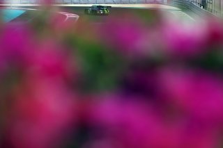 Stephane Kox / Peter Kox / Nico Pronk / Tom Boonen - Saalocin Racing -  Porsche 911 GT3-R (991.II) 
 | JEP/SRO