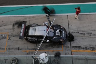 Robert Renauer / Patrick Kolb / Ralf Bohn - Herberth Motorsport,  Porsche 911 GT3-R (991.II) 
 | JEP/SRO