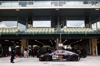 Alex Arkin Aka / Finlay Hutchison / Pietro Delli Guanti - Tresor Attempto Racing,  Audi R8 LMS evo II GT3 
 | JEP/SRO