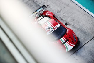 Giorgio Sernagiotto / Alessandro Cozzi / Tani Hanna / Gabriele Lancieri - AF Corse, Ferrari 488 GT3
 | JEP/SRO