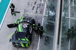 Stephane Kox / Peter Kox / Nico Pronk / Tom Boonen - Saalocin Racing -  Porsche 911 GT3-R (991.II) 
 | JEP/SRO