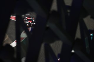 #77 Mercedes-AMG Team GruppeM Racing Mercedes-AMG GT3 of Lucas Auer / Lorenzo Ferrari / Frankie Bird
 | SRO / JEP