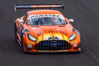 12h Bathurst 2024 - REPCO Bathurst 12 Hour - Intercontinental GT Challenge Round 1 - Foto: Gruppe C Photographya | Gruppe C Photography
