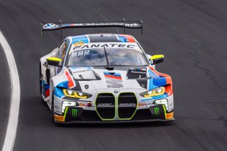 12h Bathurst 2024 - REPCO Bathurst 12 Hour - Intercontinental GT Challenge Round 1 - Foto: Gruppe C Photographya | Gruppe C Photography