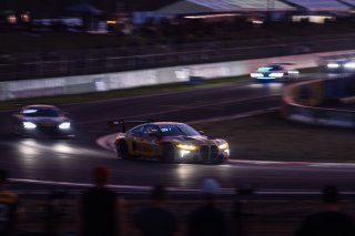 12h Bathurst 2024 - REPCO Bathurst 12 Hour - Intercontinental GT Challenge Round 1 - Foto: Gruppe C Photographya | Gruppe C Photography
