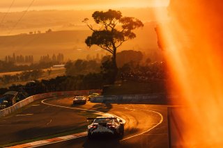 12h Bathurst 2024 - REPCO Bathurst 12 Hour - Intercontinental GT Challenge Round 1 - Foto: Gruppe C Photographya | Gruppe C Photography