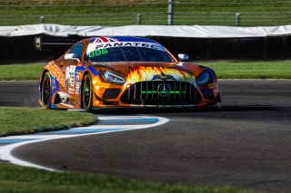 #75 Mercedes-AMG GT3 of Kenny Abul, Lucas Auer, and Jayden Ojeda, Sun Energy1, IGTC, Pro-Am, FANATEC GT World Challenge America Powered by AWS, INDY, Indianapolis, IN October 3 - 6 2024.
 | Fabian Lagunas/SRO