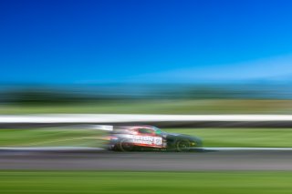 #91 Mercedes-AMG GT3 of Jeff Burton, Philip Ellis, and Elias Seppänen, Regulator Racing, GT World Challenge America, Pro-Am, SRO America, FANATEC GT World Challenge America Powered by AWS, INDY, Indianapolis, IN October 3 - 6 2024.
 | Fabian Lagunas/SRO
