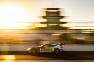 #31 BMW M4 GT3 of Dries Vanthoor, Charles Weerts, and Sheldon Van Der Linde, Team WRT, IGTC, IGTC Pro, FANATEC GT World Challenge America Powered by AWS, INDY, Indianapolis, IN October 3 - 6 2024.
 | Fabian Lagunas/SRO