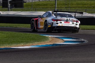 #31 BMW M4 GT3 of Dries Vanthoor, Charles Weerts, and Sheldon Van Der Linde, Team WRT, IGTC, IGTC Pro, FANATEC GT World Challenge America Powered by AWS, INDY, Indianapolis, IN October 3 - 6 2024.
 | Fabian Lagunas/SRO        