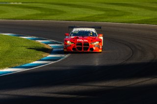 #31 BMW M4 GT3 of Dries Vanthoor, Charles Weerts, and Sheldon Van Der Linde, Team WRT, IGTC, IGTC Pro, FANATEC GT World Challenge America Powered by AWS, INDY, Indianapolis, IN October 3 - 6 2024.
 | Fabian Lagunas/SRO