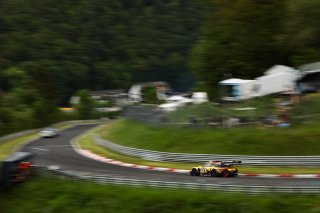 52. ADAC RAVENOL 24h Nürburgring 2024 - Foto: Gruppe C Photography; #54 Porsche 911 GT3 R (992), Dinamic: Marco Pascal Holzer, Marco Seefried, Bastian Buus, Marvin Dienst
 | Gruppe C Photography