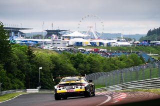 52. ADAC RAVENOL 24h Nürburgring 2024 - Foto: Gruppe C Photography; #98 BMW M4 GT3, ROWE RACING: Raffaele Marciello, Maxime Martin, Marco Wittmann, Augusto Farfus
 | Gruppe C Photography