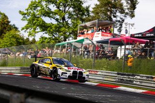 52. ADAC RAVENOL 24h N&uuml;rburgring 2024 - Foto: Gruppe C Photography; #99 BMW M4 GT3, ROWE RACING: Robin&nbsp;Frijns, Sheldon&nbsp;van der Linde, Dries&nbsp;Vanthoor, Augusto&nbsp;Farfus
 | Gruppe C Photography