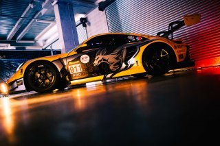 12h Bathurst 2025 -  Meguiar&rsquo;s Bathurst 12 Hour - Intercontinental GT Challenge Round 1 - Foto: Gruppe C Photography; #911 Porsche 911 GT3 R (992), Absolute Racing: Matt Campbell, Ayhancan G&uuml;ven, Alessio Picariello
 | Gruppe C Photography