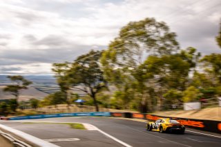 12h Bathurst 2025 -  Meguiar’s Bathurst 12 Hour - Intercontinental GT Challenge Round 1 - Foto: Gruppe C Photography; #911 Porsche 911 GT3 R (992), Absolute Racing: Matt Campbell, Ayhancan Güven, Alessio Picariello
 | Gruppe C Photography